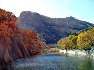 新澳天天开奖资料大全旅游团，西门子电器元件